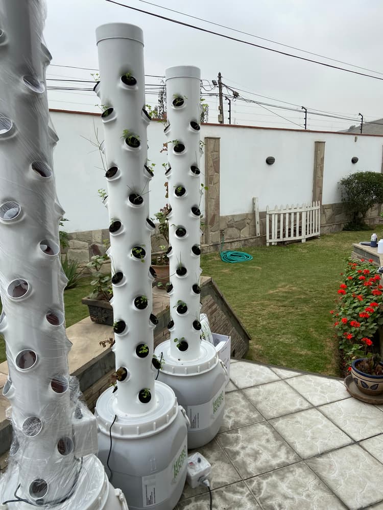 Imagen 3